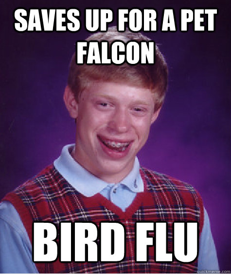 saves up for a pet falcon bird flu  Bad Luck Brian