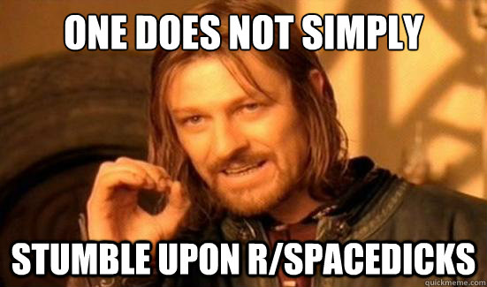 One Does Not Simply stumble upon r/spacedicks  Boromir