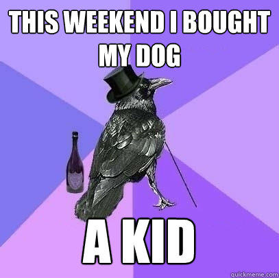 this weekend i bought my dog a kid - this weekend i bought my dog a kid  Rich Raven