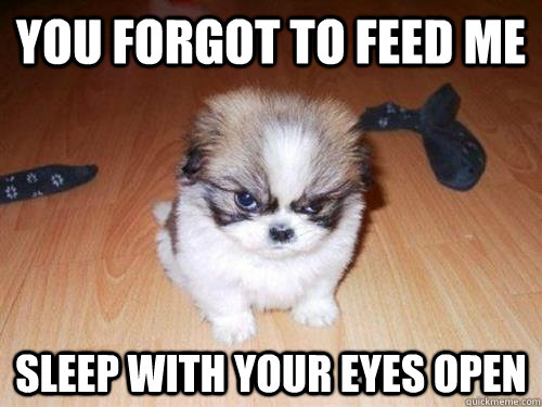 You forgot to feed me sleep with your eyes open - You forgot to feed me sleep with your eyes open  Misc