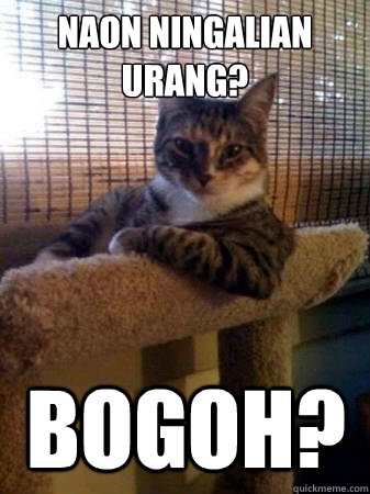 naon ningalian urang? bogoh?  The Most Interesting Cat in the World