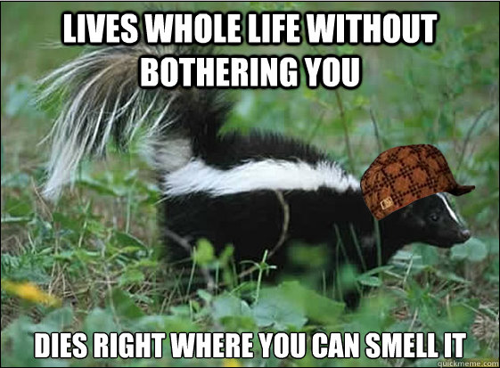 lives whole life without bothering you dies right where you can smell it - lives whole life without bothering you dies right where you can smell it  Scumbag Skunk