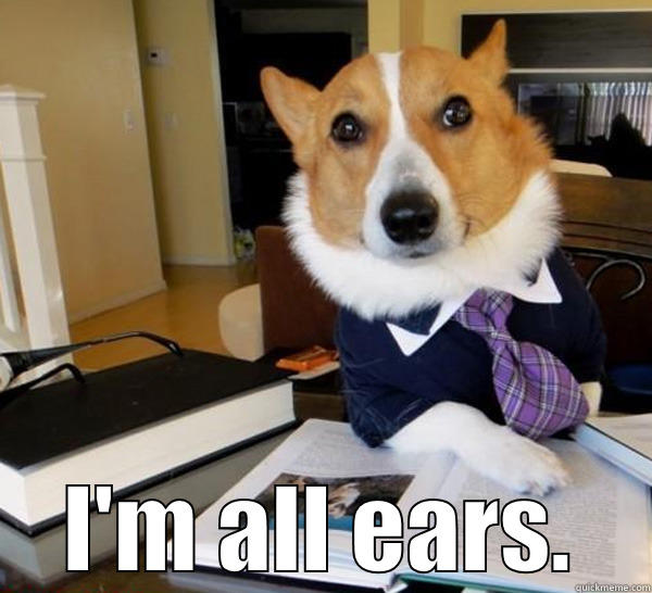  I'M ALL EARS. Lawyer Dog