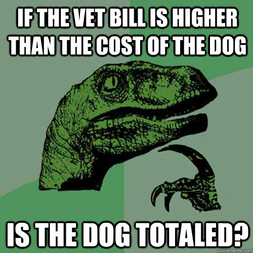 If the vet bill is higher than the cost of the dog is the dog totaled?  Philosoraptor