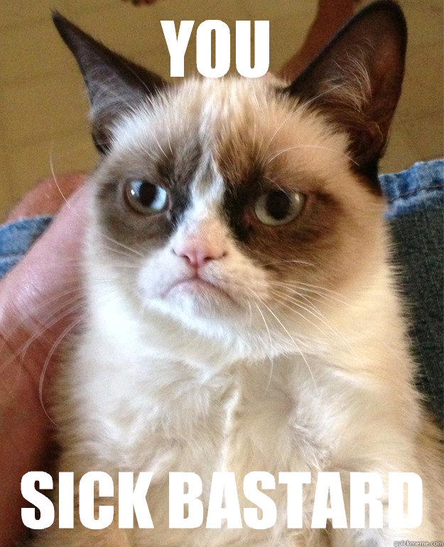 You  Sick bastard - You  Sick bastard  Grumpy Cat