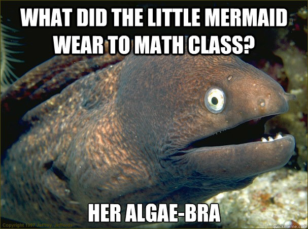 What did the little mermaid wear to math class? Her algae-bra - What did the little mermaid wear to math class? Her algae-bra  Bad Joke Eel