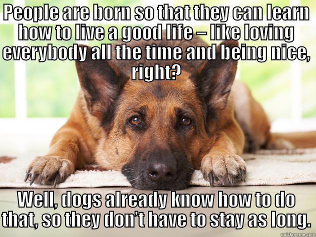 PEOPLE ARE BORN SO THAT THEY CAN LEARN HOW TO LIVE A GOOD LIFE – LIKE LOVING EVERYBODY ALL THE TIME AND BEING NICE, RIGHT? WELL, DOGS ALREADY KNOW HOW TO DO THAT, SO THEY DON’T HAVE TO STAY AS LONG. Misc