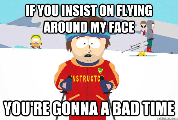 If you insist on flying around my face You're gonna a bad time  Super Cool Ski Instructor