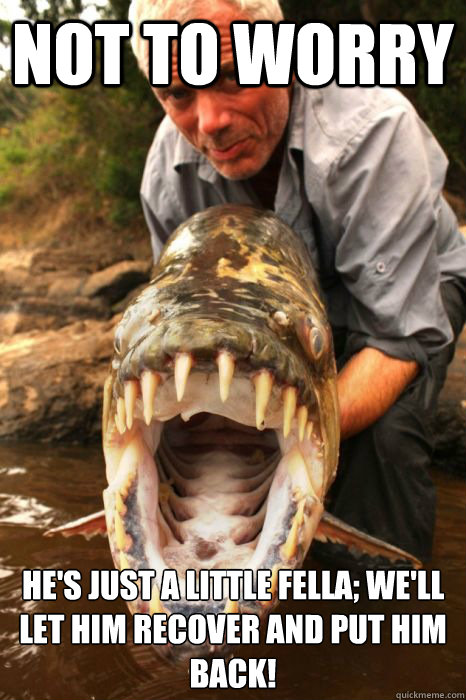 Not to Worry he's just a little fella; we'll let him recover and put him back! - Not to Worry he's just a little fella; we'll let him recover and put him back!  River Monsters Meme