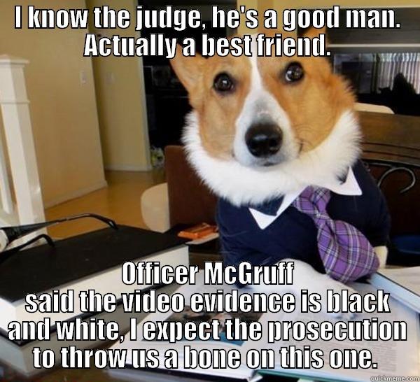 I KNOW THE JUDGE, HE'S A GOOD MAN. ACTUALLY A BEST FRIEND. OFFICER MCGRUFF SAID THE VIDEO EVIDENCE IS BLACK AND WHITE, I EXPECT THE PROSECUTION TO THROW US A BONE ON THIS ONE.  Lawyer Dog