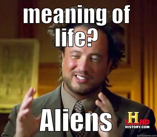 MEANING OF LIFE? ALIENS Ancient Aliens