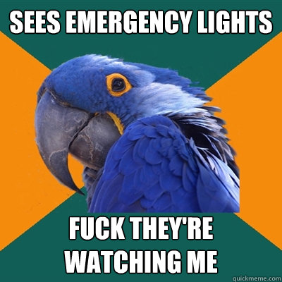 Sees Emergency Lights  Fuck They're Watching Me  Paranoid Parrot