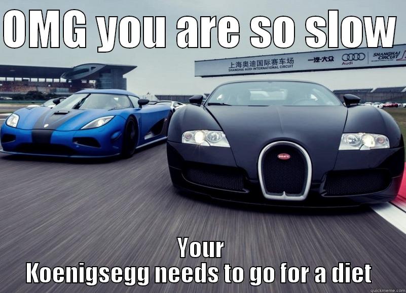 OMG YOU ARE SO SLOW  YOUR KOENIGSEGG NEEDS TO GO FOR A DIET  Misc