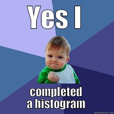 YES I COMPLETED A HISTOGRAM Success Kid