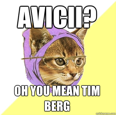 Avicii? oh you mean tim berg  Hipster Kitty