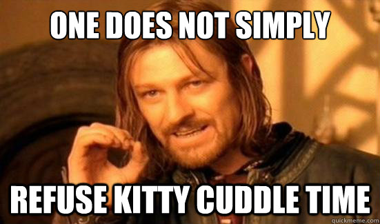 One Does Not Simply refuse kitty cuddle time  Boromir