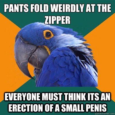 pants fold weirdly at the zipper everyone must think its an erection of a small penis  Paranoid Parrot