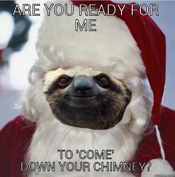 ARE YOU READY FOR ME TO 'COME' DOWN YOUR CHIMNEY? Misc
