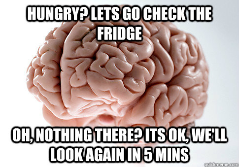 HUNGRY? LETS GO CHECK THE FRIDGE OH, NOTHING THERE? ITS OK, WE'LL LOOK AGAIN IN 5 MINS   Scumbag Brain