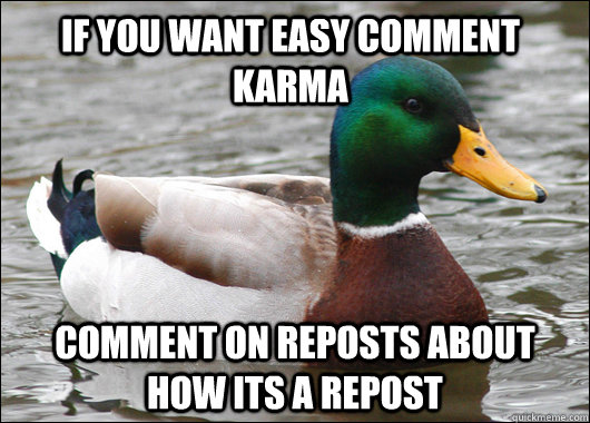 if you want easy comment karma comment on reposts about how its a repost  Actual Advice Mallard