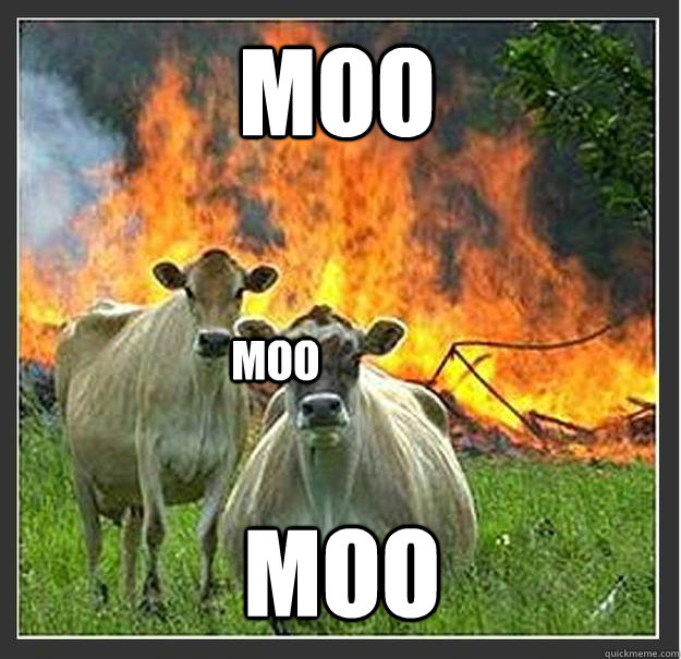MOO MOO MOO  Evil cows