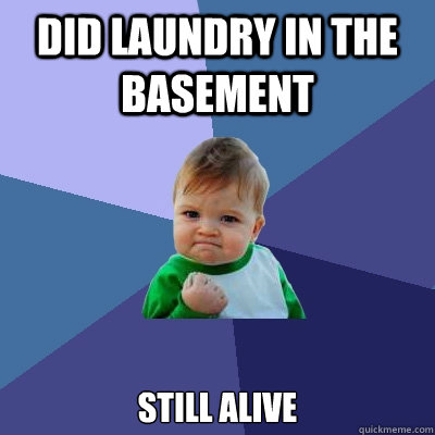 Did laundry in the basement Still alive  Success Kid