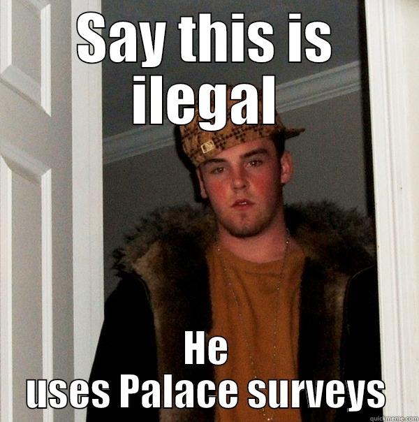 SAY THIS IS ILEGAL HE USES PALACE SURVEYS Scumbag Steve