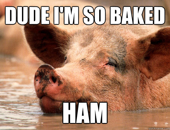 Dude I'm so baked Ham  - Dude I'm so baked Ham   Stoner Pig