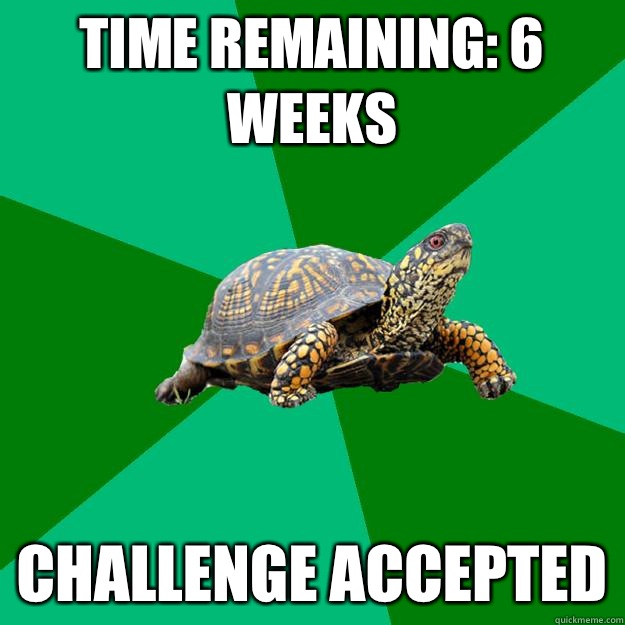 Time Remaining: 6 weeks CHALLENGE ACCEPTED  Torrenting Turtle