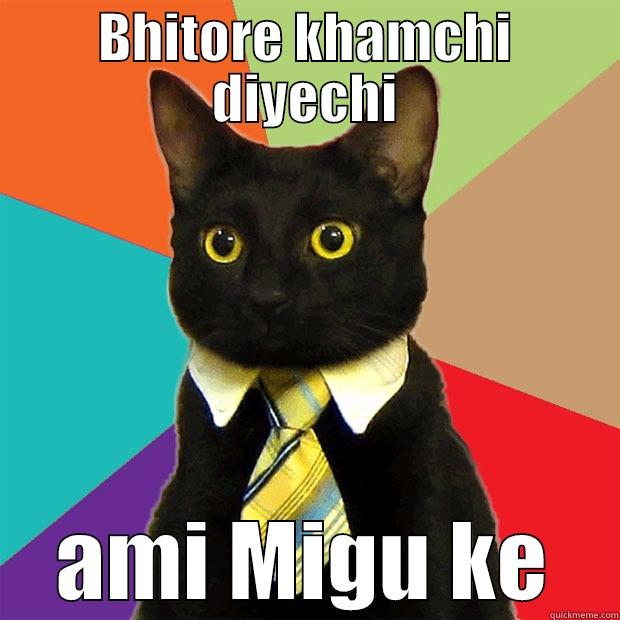 BHITORE KHAMCHI DIYECHI AMI MIGU KE Business Cat