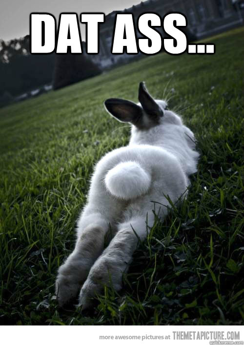 dat ass...  - dat ass...   booty bunny