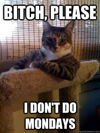 Bitch, please I don't do mondays  The Most Interesting Cat in the World