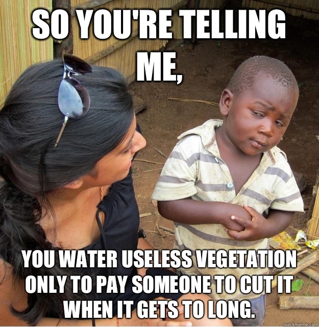 So you're telling me, You water useless vegetation only to pay someone to cut it when it gets to long.  - So you're telling me, You water useless vegetation only to pay someone to cut it when it gets to long.   Skeptical Third World Kid