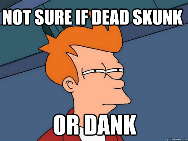 not sure if dead skunk or dank  Futurama Fry
