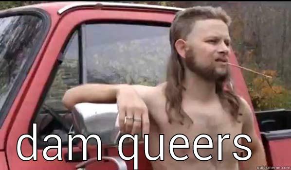  DAM QUEERS  Almost Politically Correct Redneck