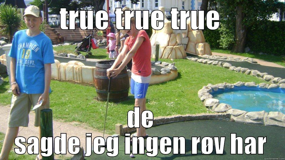 TRUE TRUE TRUE DE SAGDE JEG INGEN RØV HAR Misc