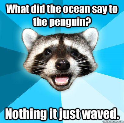 What did the ocean say to the penguin? Nothing it just waved.  Lame Pun Coon