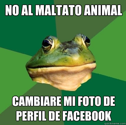 No al maltato animal cambiare mi foto de perfil de facebook   Foul Bachelor Frog
