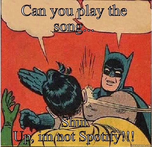 CAN YOU PLAY THE SONG... SHUT UP, IM NOT SPOTIFY!!! Batman Slapping Robin