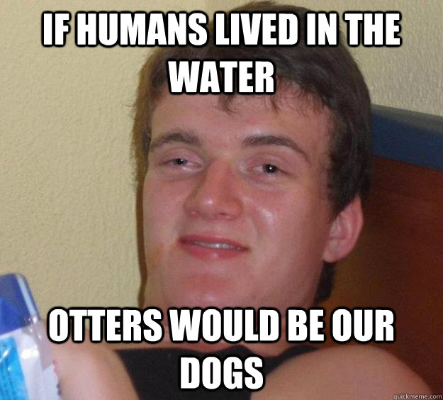 If humans lived in the water otters would be our dogs - If humans lived in the water otters would be our dogs  10 Guy