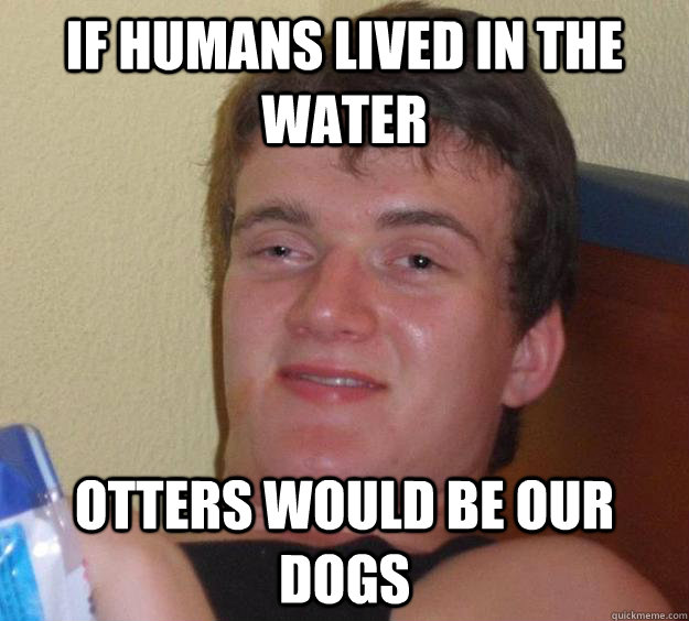 If humans lived in the water otters would be our dogs  10 Guy