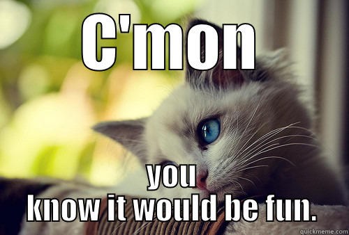 C'MON YOU KNOW IT WOULD BE FUN. First World Problems Cat