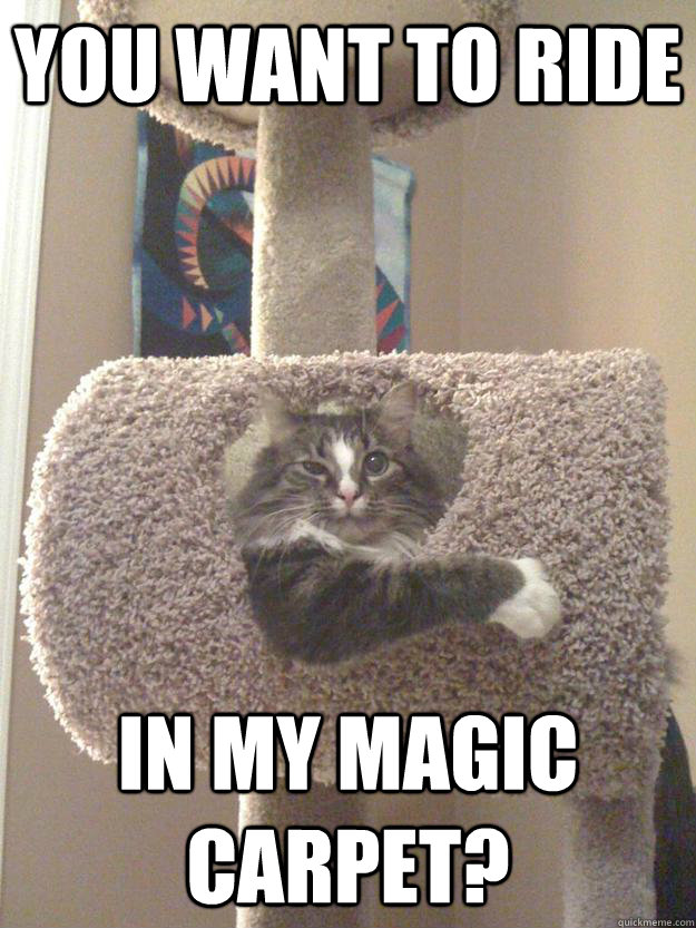 You want to ride in my magic carpet?  Haughty Pussy Cat