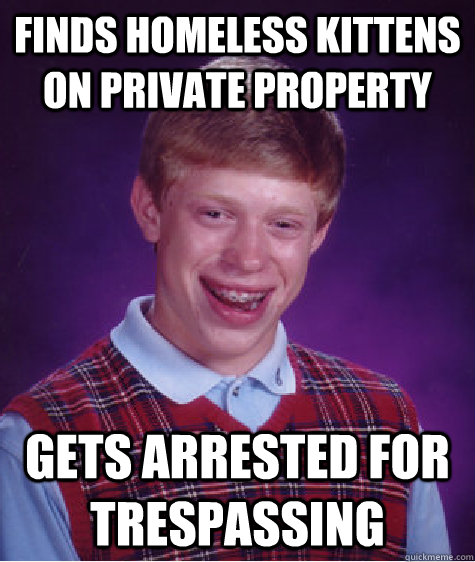 Finds homeless kittens on private property Gets arrested for trespassing   Bad Luck Brian