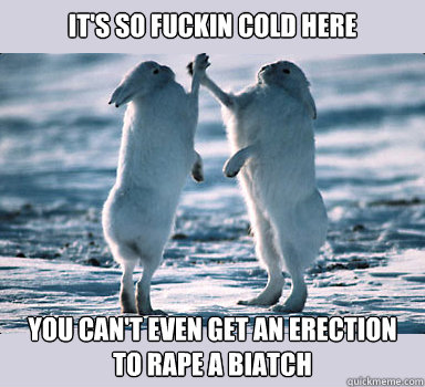 it's so fuckin cold here you can't even get an erection to rape a biatch  Bunny Bros