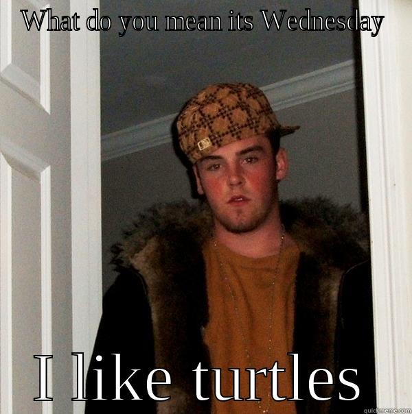 WHAT DO YOU MEAN ITS WEDNESDAY I LIKE TURTLES Scumbag Steve