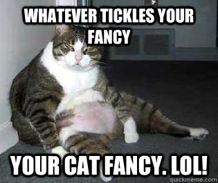 Whatever tickles your fancy YOUR CAT FANCY. LOL! - Whatever tickles your fancy YOUR CAT FANCY. LOL!  Bad Joke Fat Cat