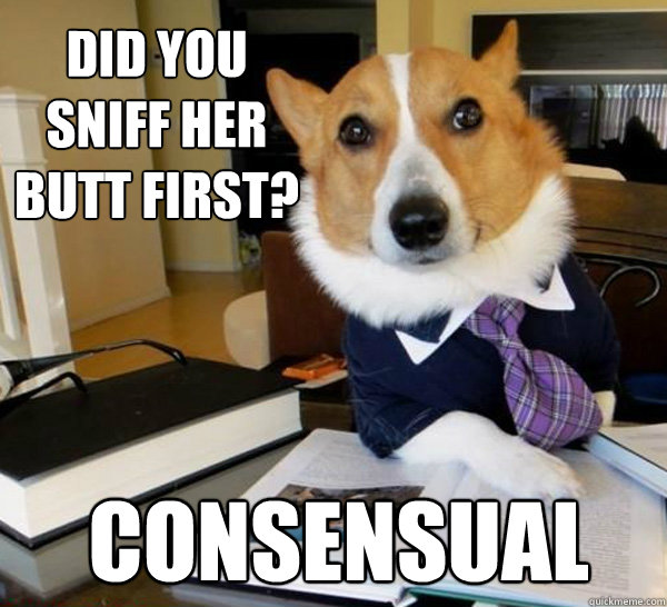 Did you sniff her butt first? consensual - Did you sniff her butt first? consensual  Lawyer Dog