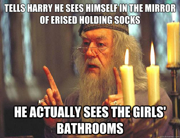 tells harry he sees himself in the mirror of erised holding socks He actually sees the girls' bathrooms  Dumbledore