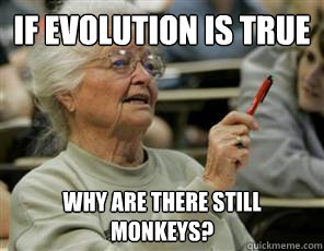 if evolution is true why are there still monkeys?  Senior College Student